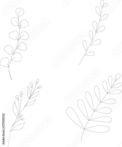 Set of vector doodle branch	
