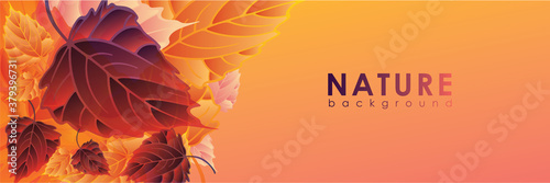 Vector illustration of autumn leaves nature background