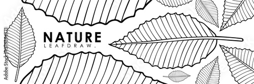 Vector illustration of leaves nature background