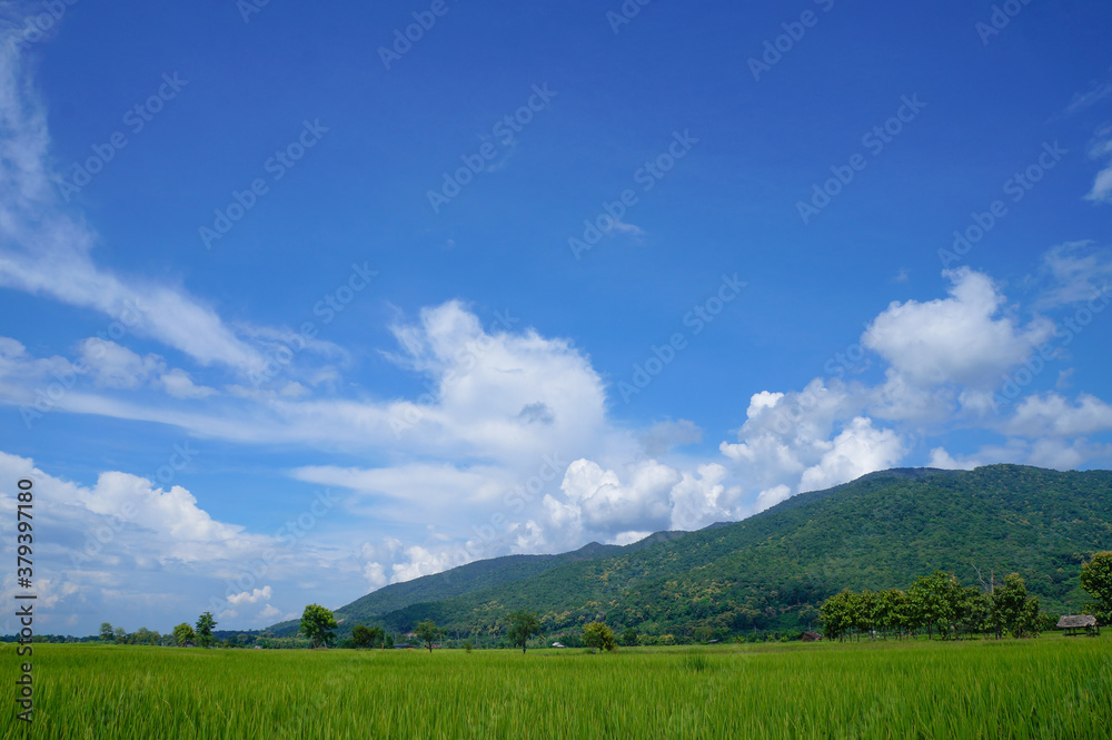 Green mountains, blue sky and beautiful background Green mountains, blue sky and beautiful background