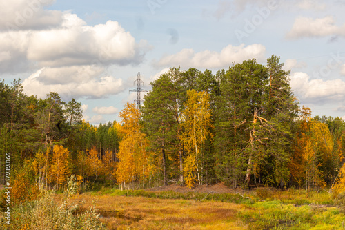 Landscape with colorful trees in autumn in the forest