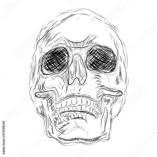 Skull white scetch. Vector isolated scetch illustration. Drawn AI skull black outlines.