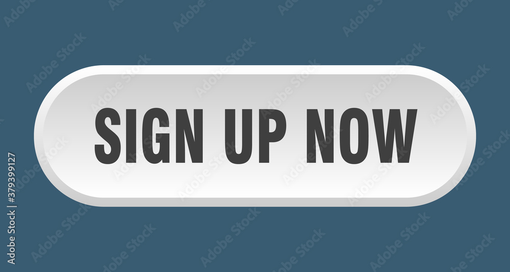 sign up now button. rounded sign on white background
