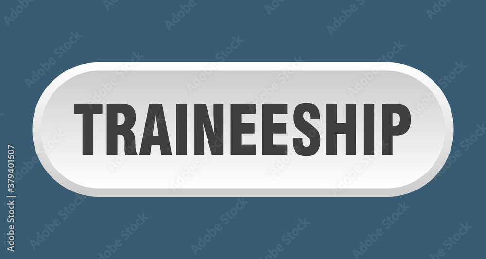 traineeship button. rounded sign on white background traineeship button. rounded sign on white background
