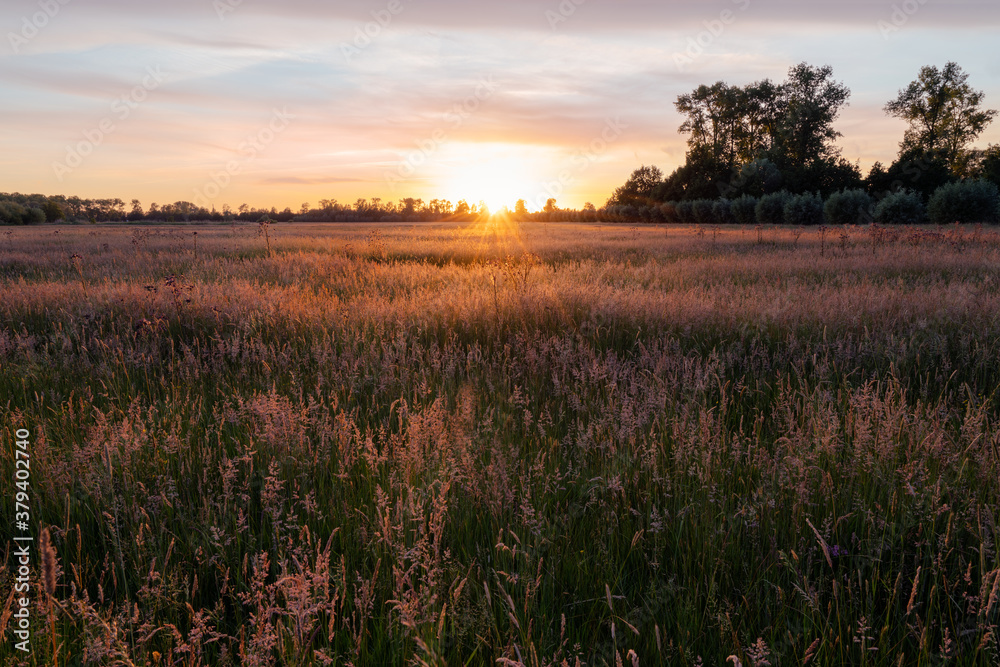 sunrise in the field of Gelderland, the Netherlands. sunrise in the field of Gelderland, the Netherlands.