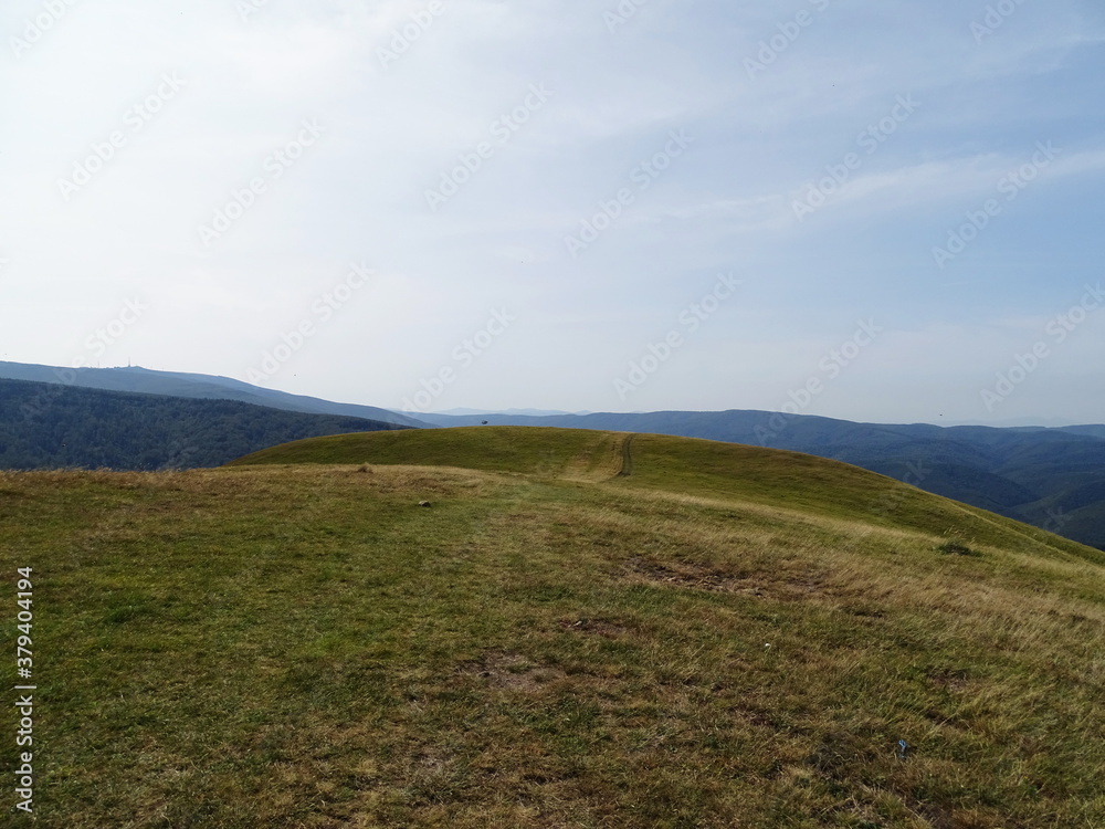 Fototapeta premium landscape with sky