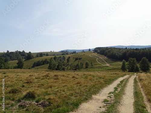 road in the mountains © hulbar