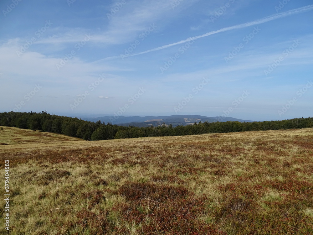 field and sky