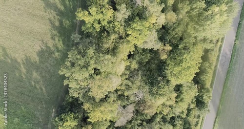 Wallpaper Mural Aerial drone flight above bavarian forest Torontodigital.ca