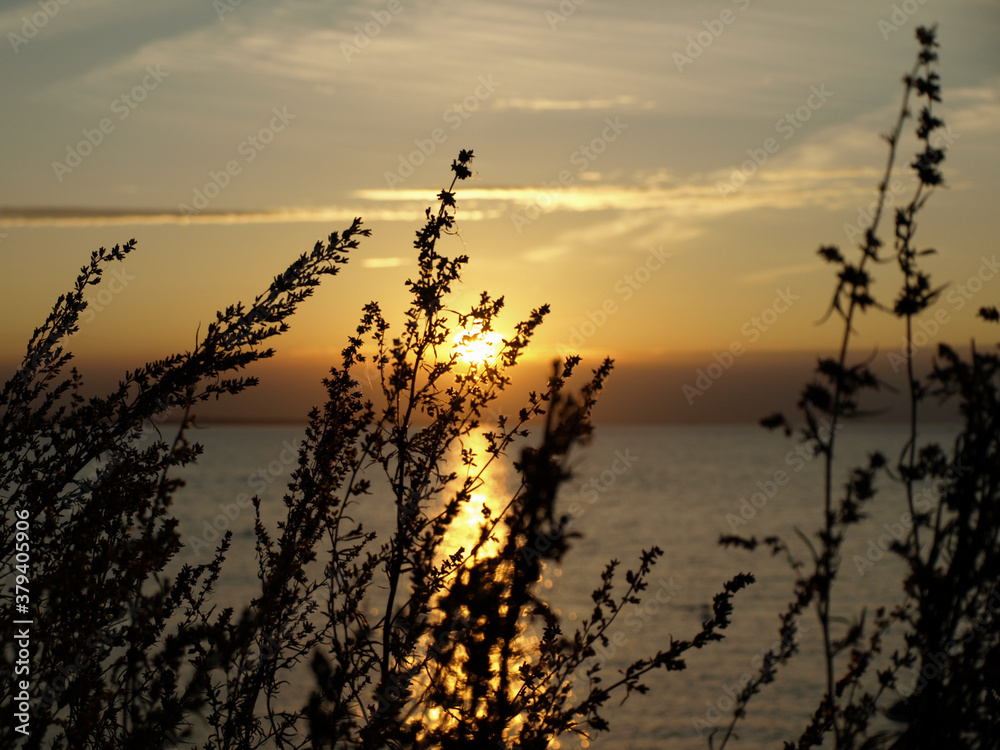 Fototapeta premium OLYMPUS DIGITAL CAMERA