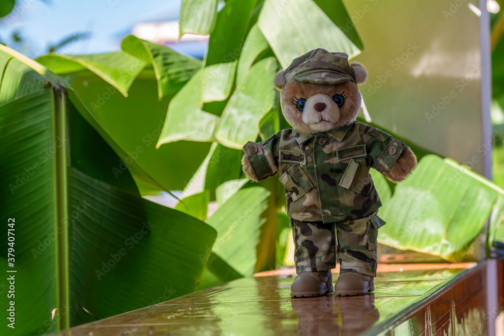 A teddy bear wearing a military uniform