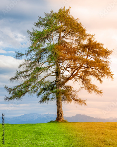 Jahreszeitenwechsel von Sommer zu Herbst