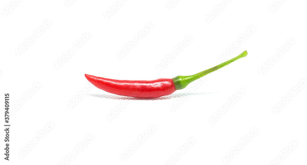 chili pepper isolated on a white background chili pepper isolated on a white background
