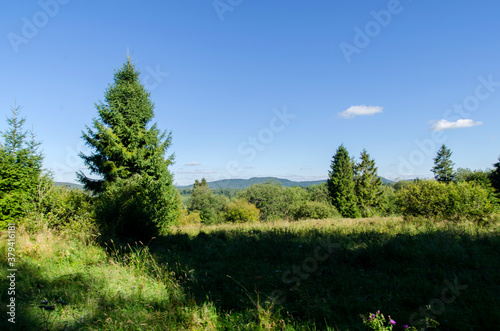 Fototapeta Naklejka Na Ścianę i Meble -  Bieszczady panorama
