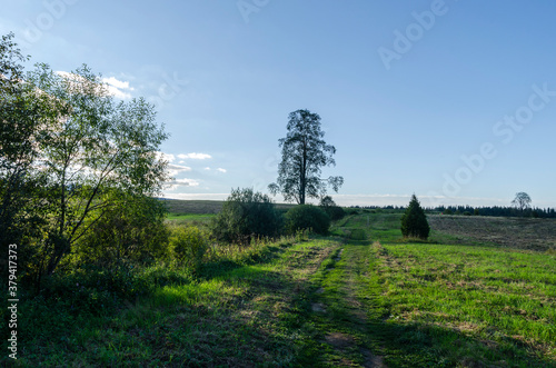 Fototapeta Naklejka Na Ścianę i Meble -  Bieszczady Panorama 