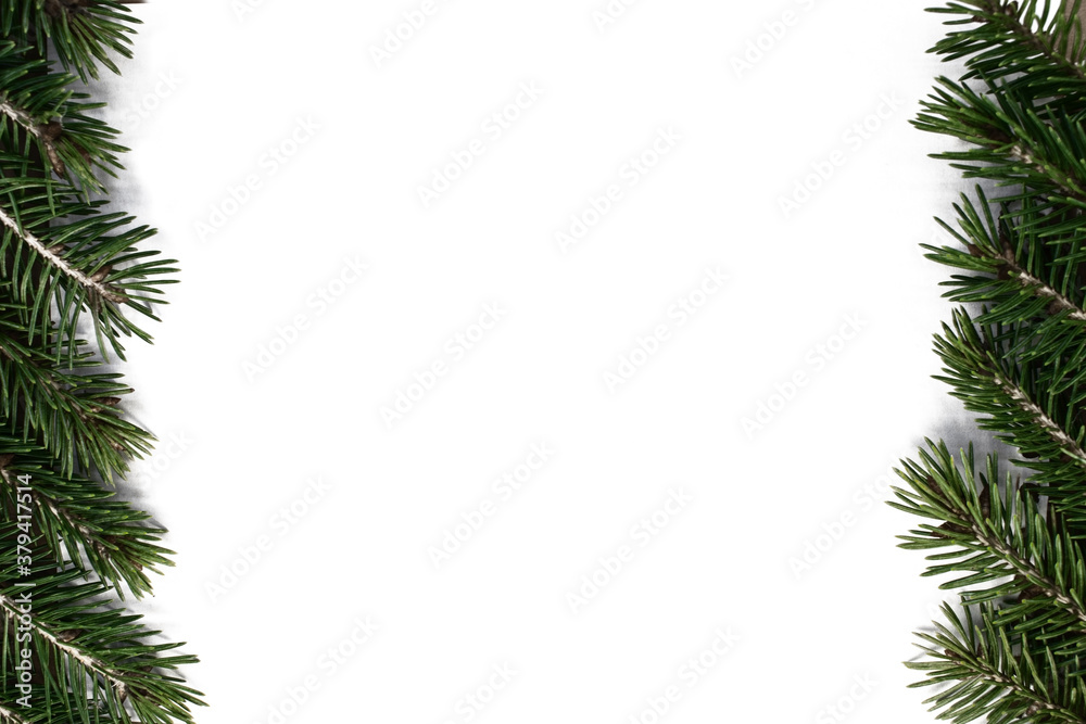 spruce branches lie on the sides on a white background with space for text in the center. Christmas layout greeting card