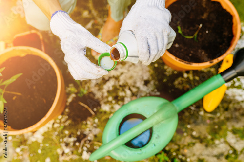 Woman pours liquid mineral fertilizer, in watering can with water. Cultivation and caring for indoor potted plants. Hobbies and leisure, home gardening, houseplant, urban jungle concept