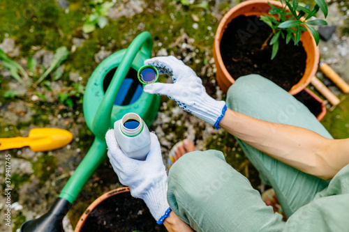 Tableau sur toile Woman pours liquid mineral fertilizer, in watering can with water