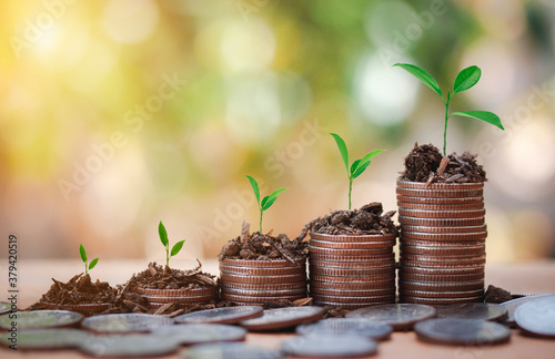 The coins are stacked on the ground,seedlings are growing on coins to show growing money,business finace concept on bokeh background. photo