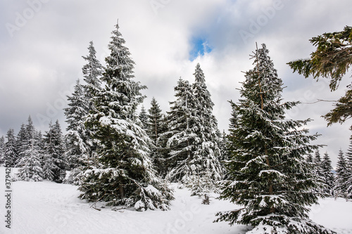 Winter im Riesengebirge bei Pec pod Snezkou  Tschechien