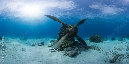 WWI plane wreck in ocean in Saipan © The Ocean Agency