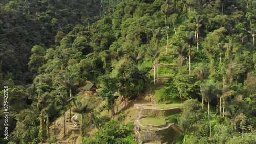 Aerial View of Stone Platforms Deep in Jungle Lush. Ciudad Perdida aka Lost City Colombia, Popular Tourist Hiking Destination photo