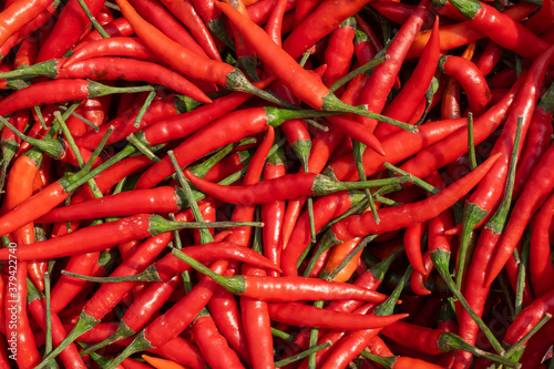 top view of red chilli pepper background.