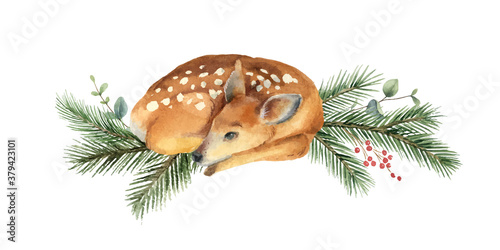 Watercolor vector Christmas card with fawn and fir branches.
