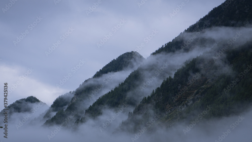 Fog clouds on mountains covered by forest near Champoluc, Aosta valley. Fog clouds on mountains covered by forest near Champoluc, Aosta valley.
