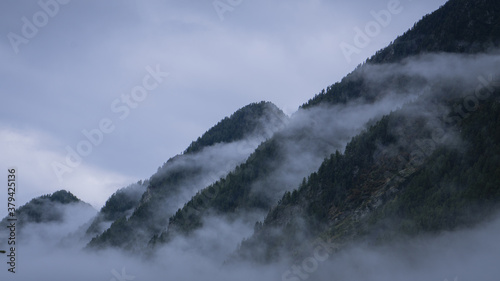 Fog clouds on mountains covered by forest near Champoluc, Aosta valley.