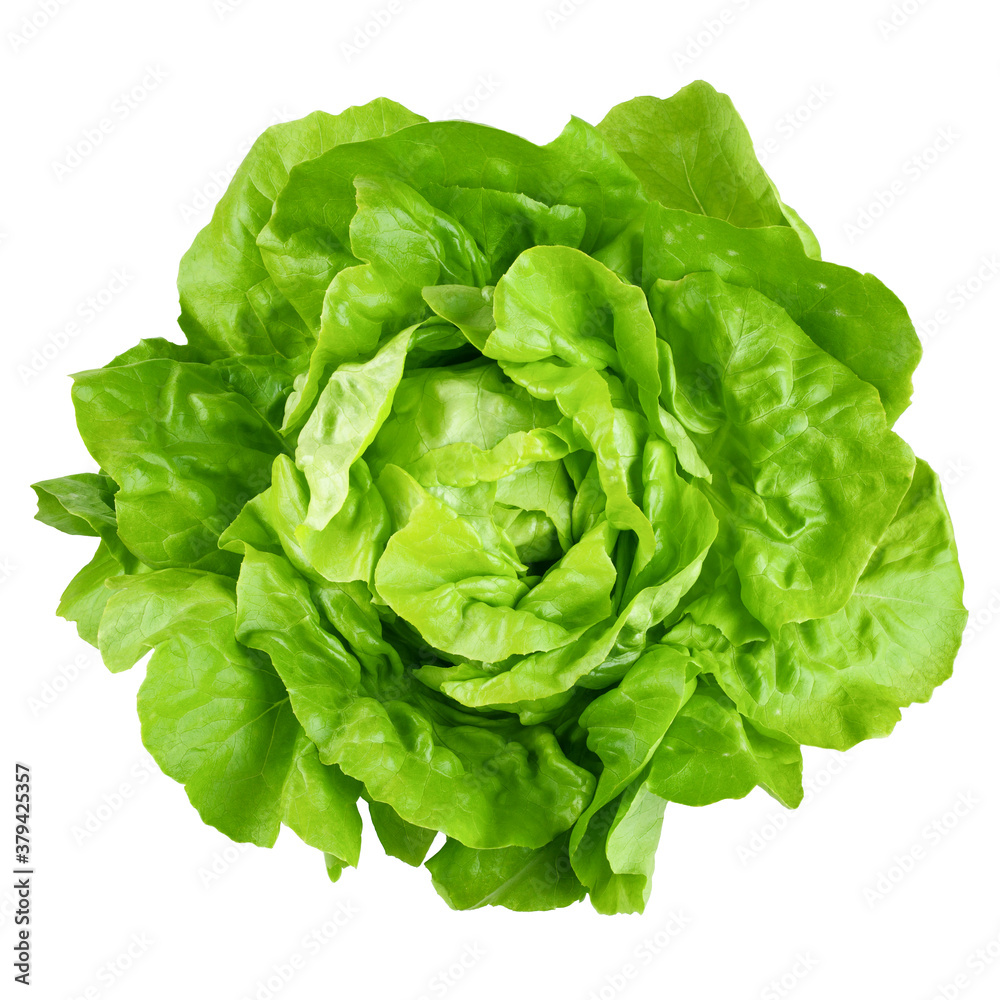 salad, lettuce, isolated on white background, clipping path, full depth of field salad, lettuce, isolated on white background, clipping path, full depth of field