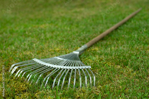 Fotografia Metal fan rake on the green grass in the garden