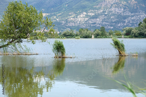 Riserva Naturale Torbiere del Sebino, presso Provaglio di Iseo, Lago di Iseo, Franciacorta, Italia photo
