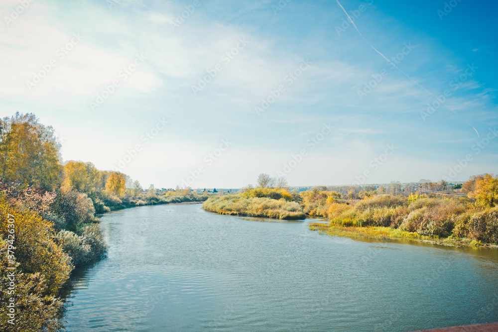 Fototapeta premium The river surrounded by trees 