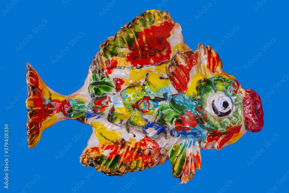Multicolored crock fish isolated on background. Aquarium concept