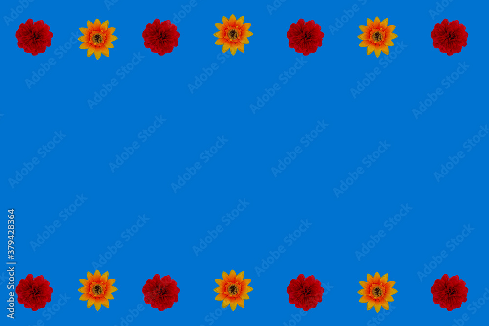 Flowers neatly arranged, isolated on background and with space for writing