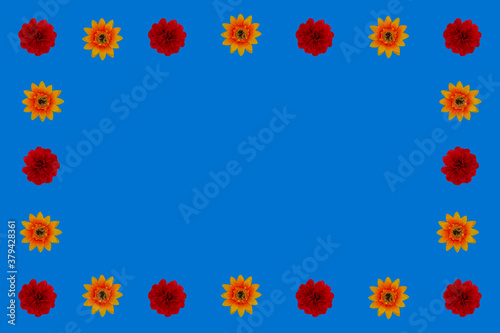 Obraz na płótnie Flowers neatly arranged, isolated on background and with space for writing w salonie