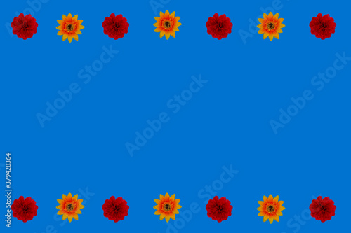 Flowers neatly arranged  isolated on background and with space for writing
