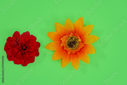 Flowers neatly arranged, isolated on background and with space for writing