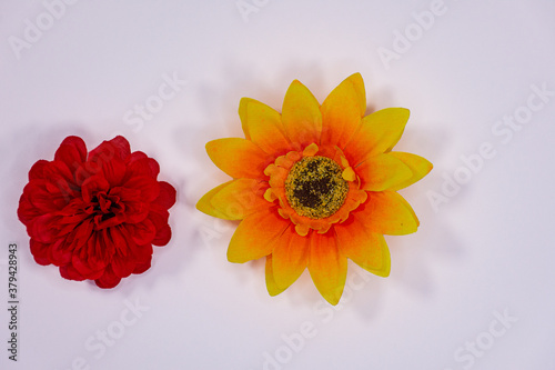 Obraz na płótnie Flowers neatly arranged, isolated on background and with space for writing w salonie
