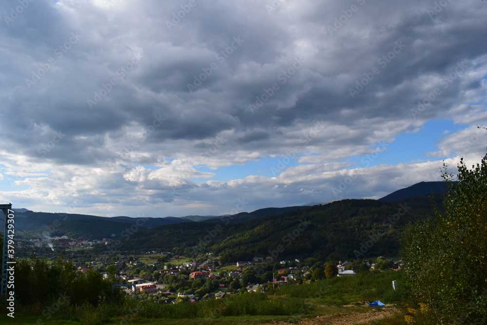Fototapeta premium landscape in the summer