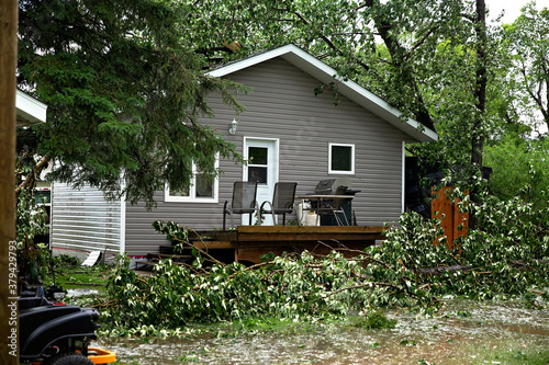 Back yard destruction from fallen trees and hail during a summer storm