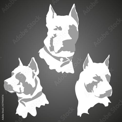 American Staffordshire Terrier silhouette. Dog banner