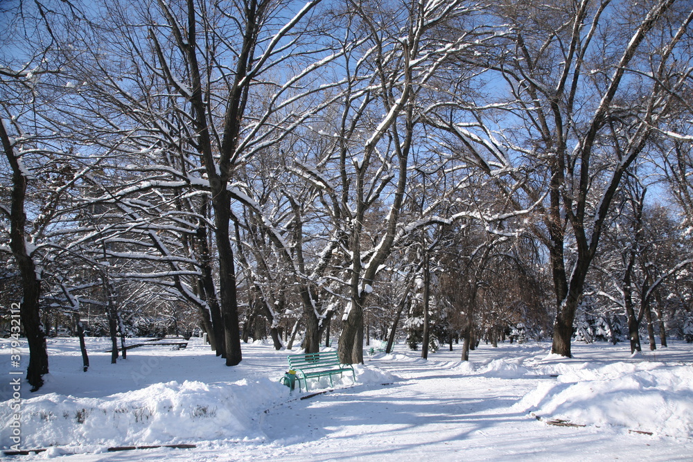 Fototapeta premium Allphotokz Park Astana 20071225 6361 5D S