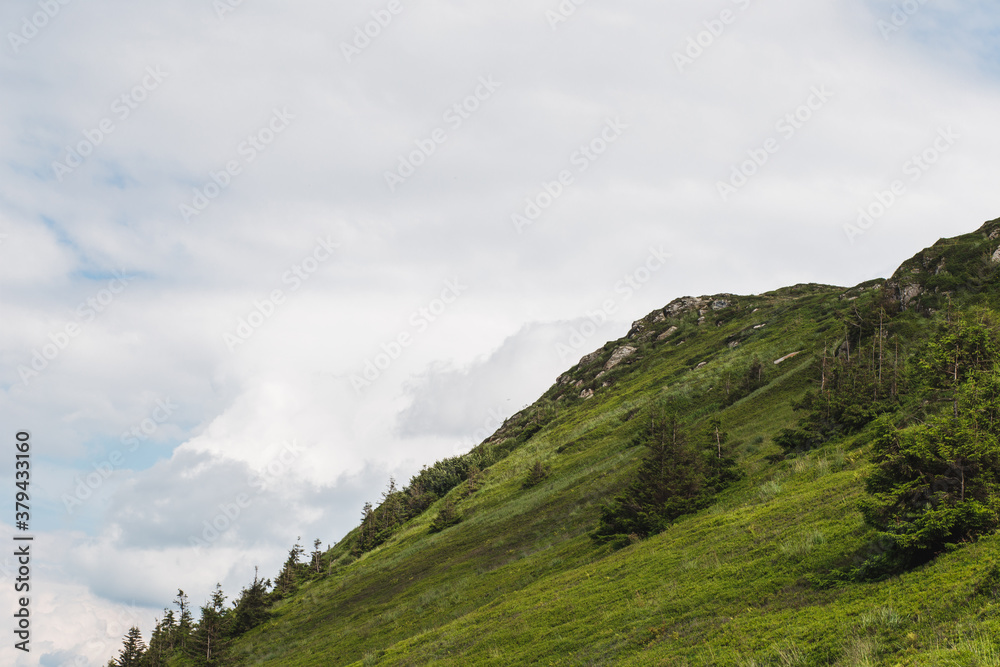 scenic Carpathians mountains and hills in the nice weather in summer