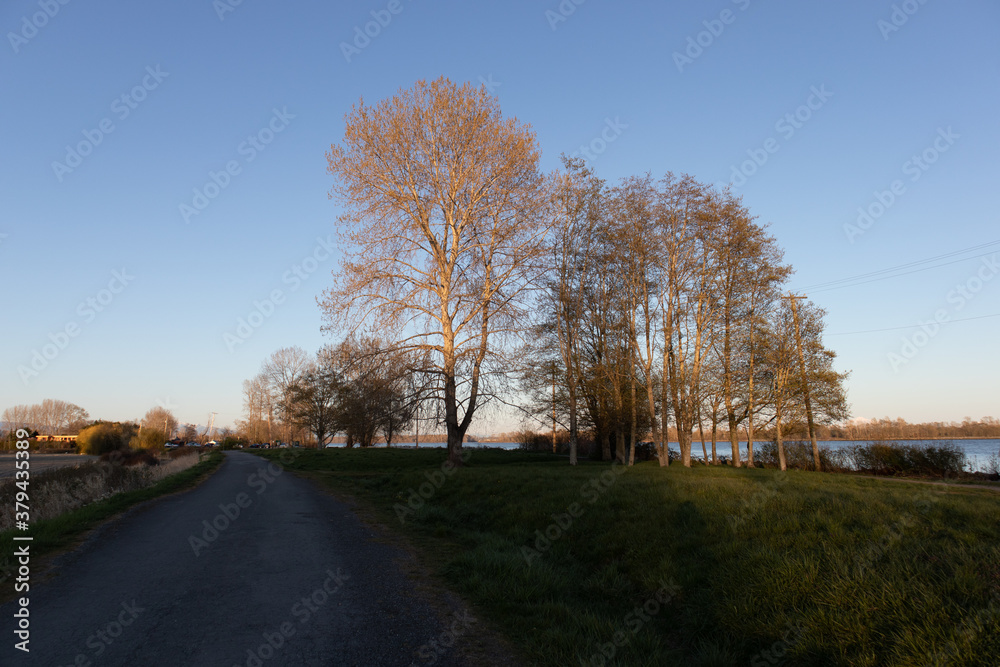 Naklejka premium autumn in the park