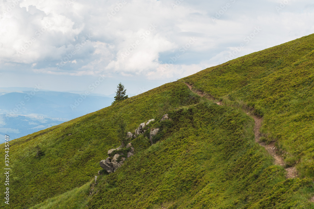 Obraz premium scenic Carpathians mountains and hills in the nice weather in summer