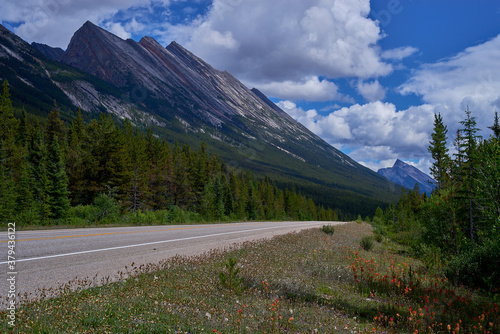 endless chain ridge, jasper national park photo