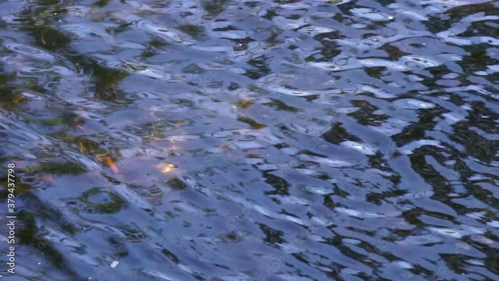 Ripples in flowing stream water. Ripples in flowing stream water.