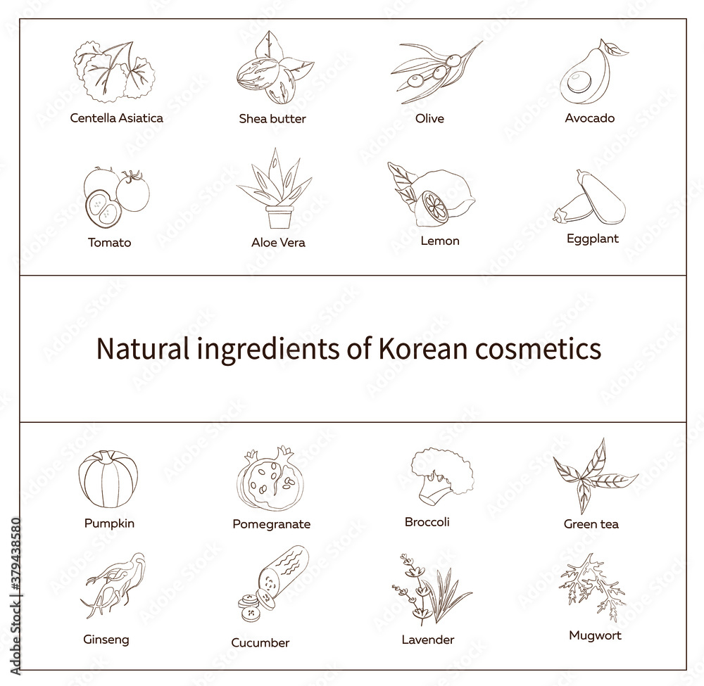 set of natural ingredients of Korean cosmetics, Centella, avocado, olive, green tea. eggplant, ginseng. broccoli, pumpkin, aloe, shea butter, lemon, pomegranate, mugwort, lavender set of natural ingredients of Korean cosmetics, Centella, avocado, olive, green tea. eggplant, ginseng. broccoli, pumpkin, aloe, shea butter, lemon, pomegranate, mugwort, lavender